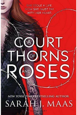 A Court of Thorns and Roses eBook